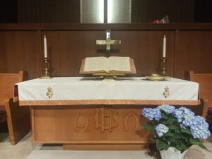 White paraments Hydrangeas