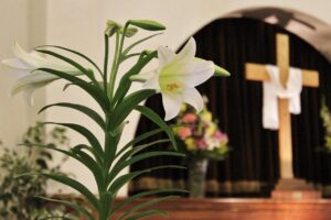 Sanctuary filled with Easter flowers / bright worship space / altar.